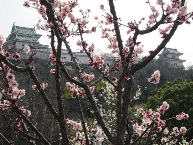 a0170390_1924871.jpg