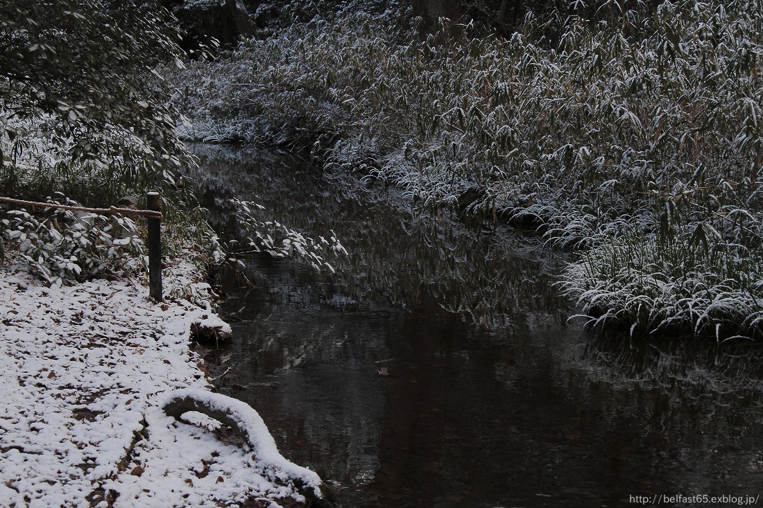 雪景色・下鴨神社_f0095094_232915.jpg