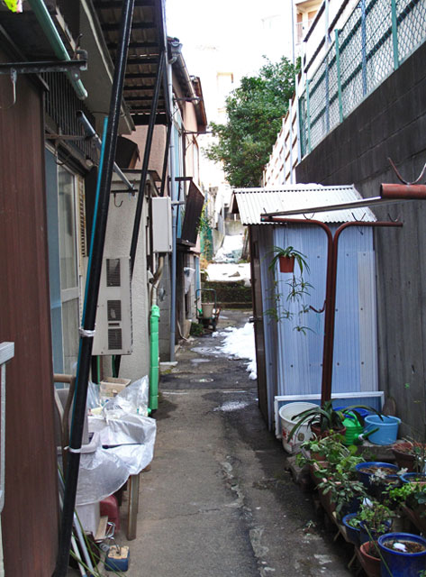c0163001_04298.jpg