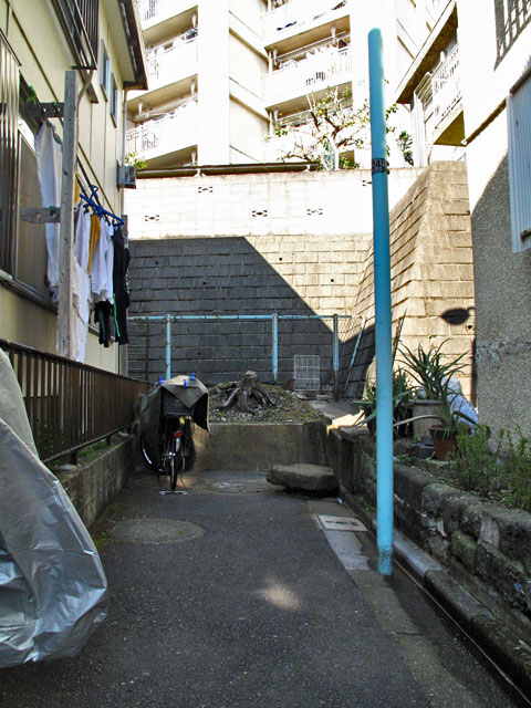 c0163001_061311.jpg