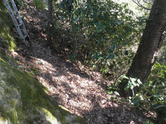 b0055202_23152038.jpg