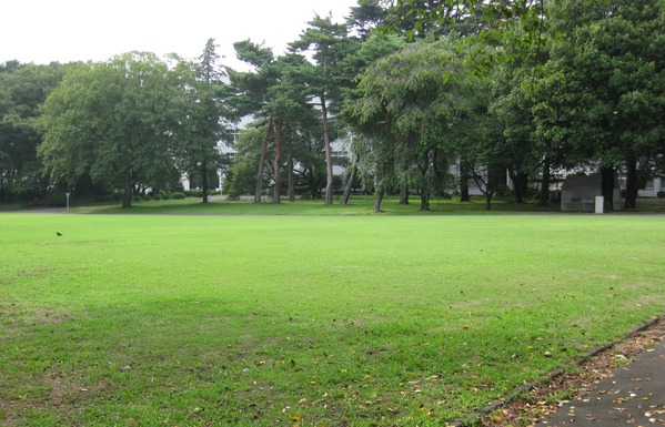 a0149405_9593791.jpg