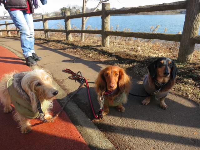 2013年ツアー開始＠砂沼公園編_a0227507_22105654.jpg