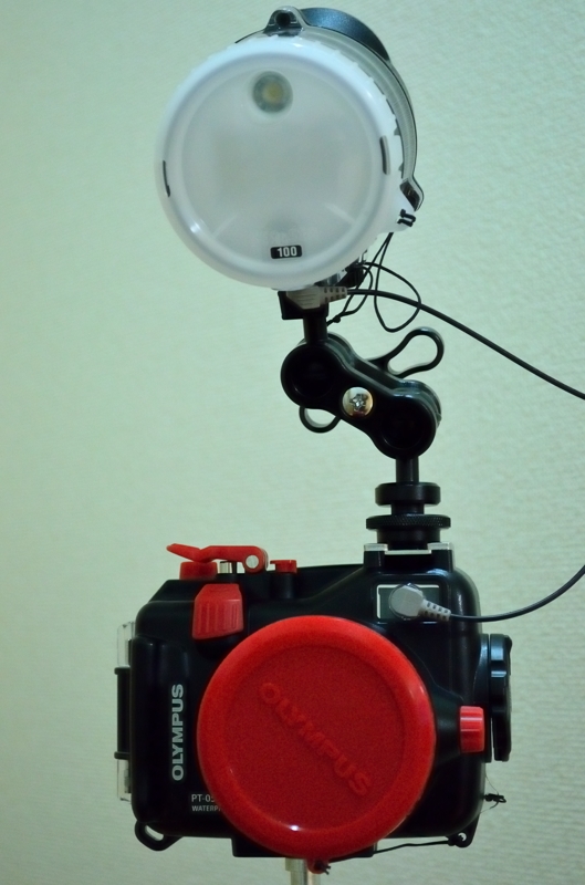 c0174913_2038366.jpg