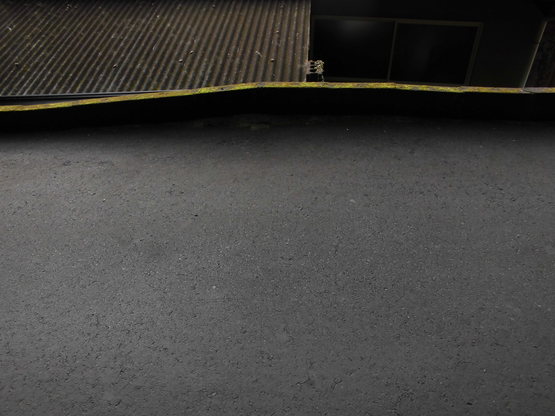 d0053616_1611933.jpg