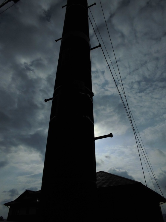 d0053616_16132449.jpg