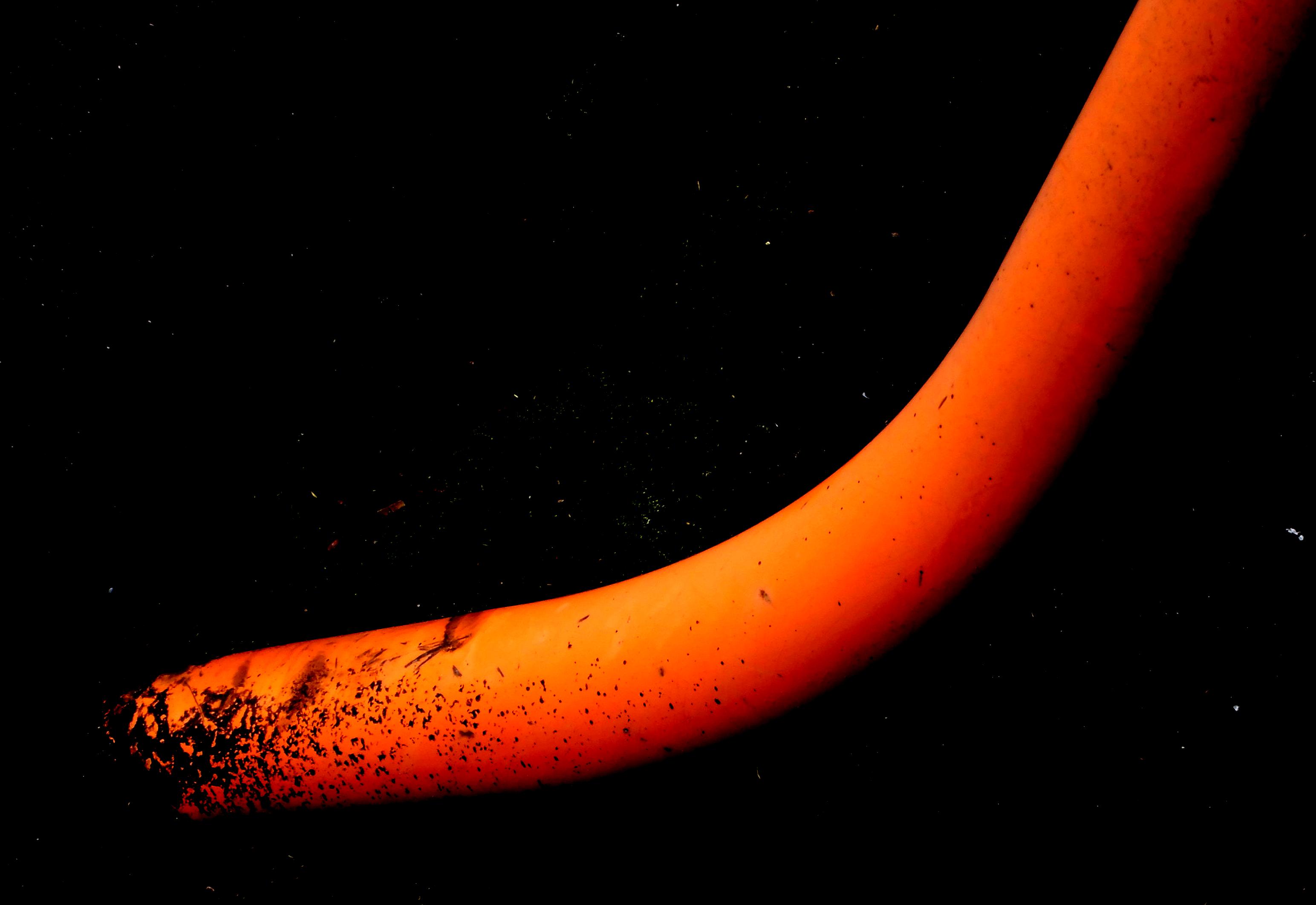 d0053616_16135377.jpg