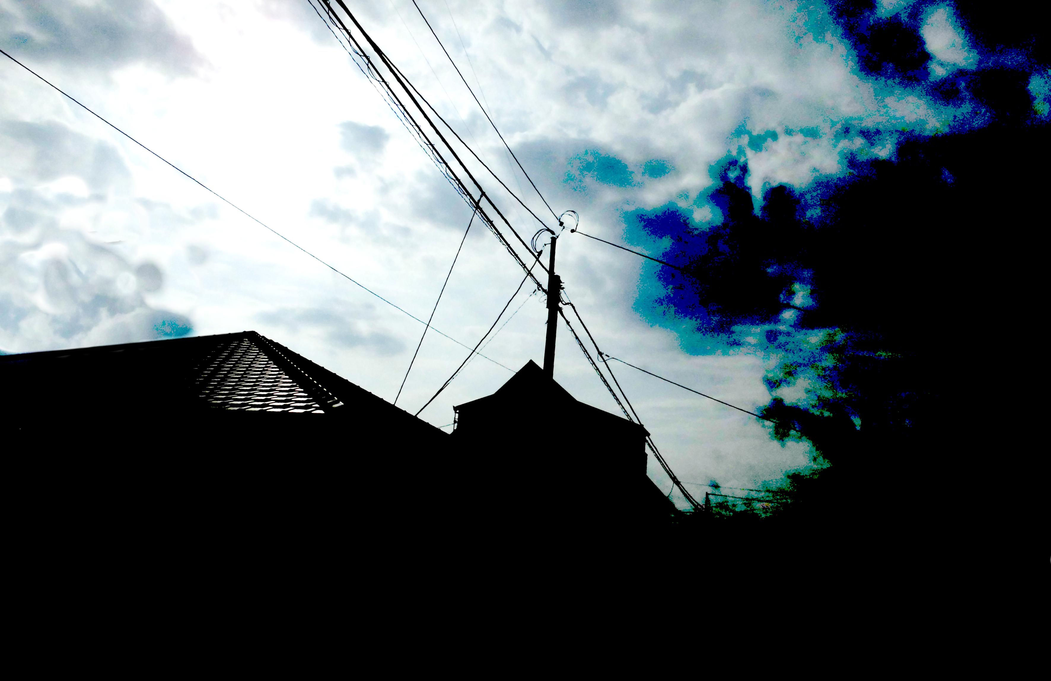 d0053616_1683765.jpg