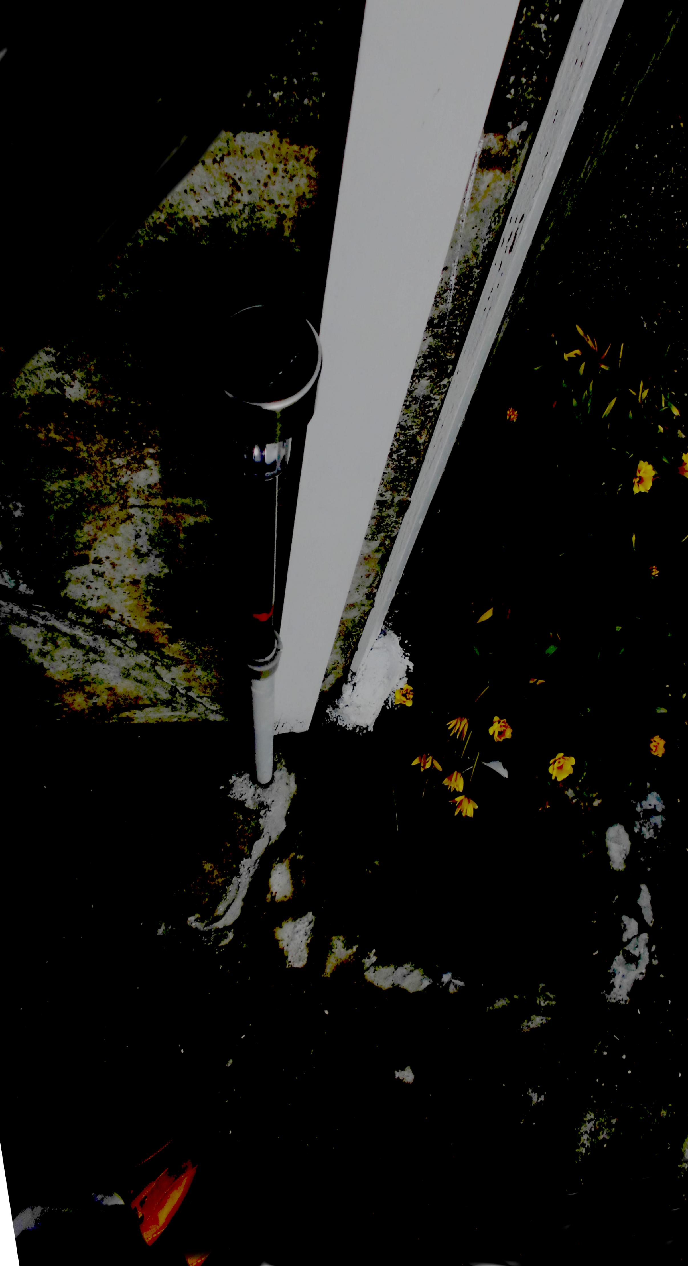 d0053616_169363.jpg