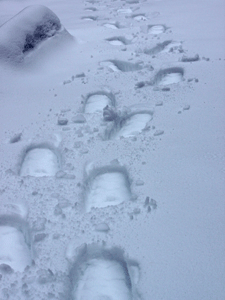 f0232920_1543834.gif
