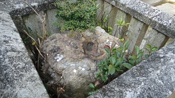 f0000521_66108.jpg