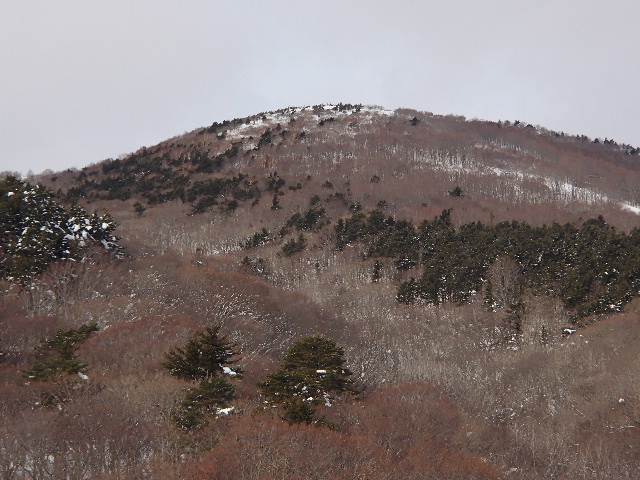 c0141223_1835793.jpg