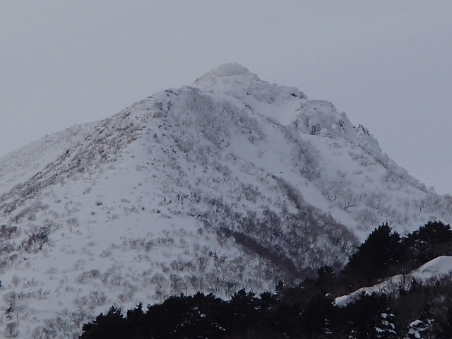 c0141223_1843559.jpg