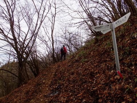 2013年の初歩きは陣馬山　〜1月6日(日)〜　その④_b0281732_1742404.jpg