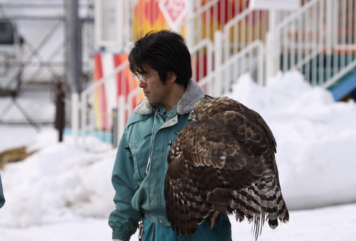 釧路動物園のクマタカ飛翔　1月23日_f0113639_17294378.jpg