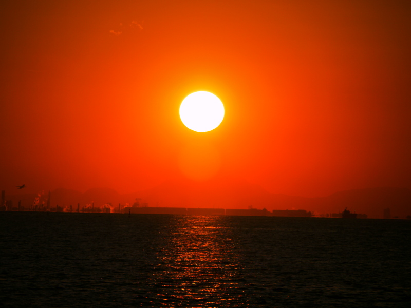 b0190242_21193596.jpg