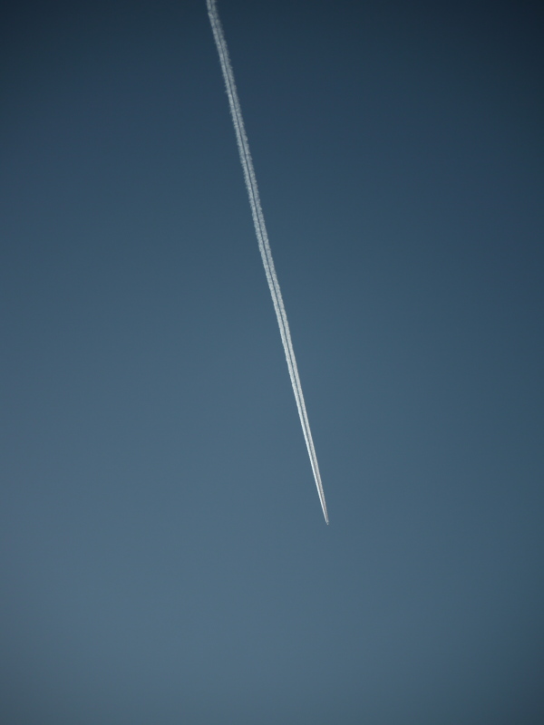 b0190242_21234957.jpg
