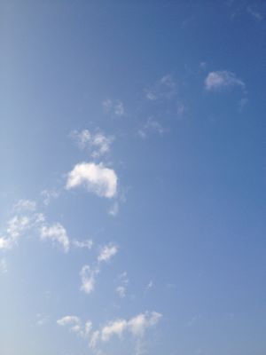 冬の空_c0182843_14561694.jpg