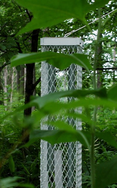 f0202445_10134974.jpg