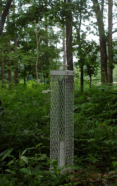 f0202445_10144126.jpg