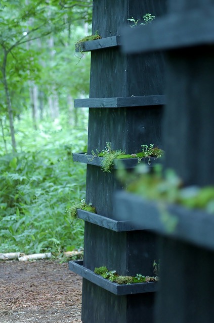 f0202445_10341060.jpg