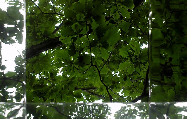 f0202445_10352031.jpg