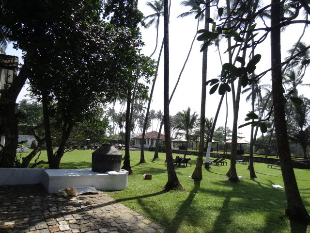 f0036857_1835533.jpg
