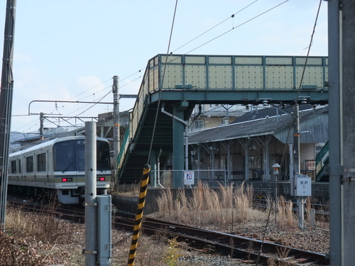 水曜ライド　冬の京都　伏見～醍醐寺　味巡り_d0174462_5441267.jpg