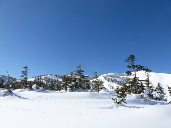 b0164568_820015.jpg