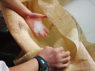 プチ便り( 大吟醸玉柏②)_a0206870_17194451.jpg