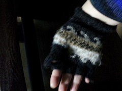 d0087572_2363811.jpg