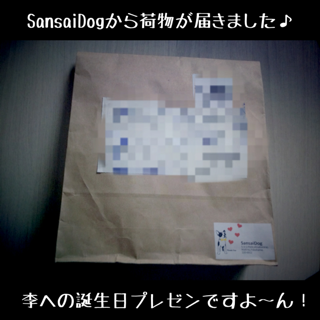 初めての福袋〜SansaiDog Happy Bag 2013〜_f0168374_1437401.png