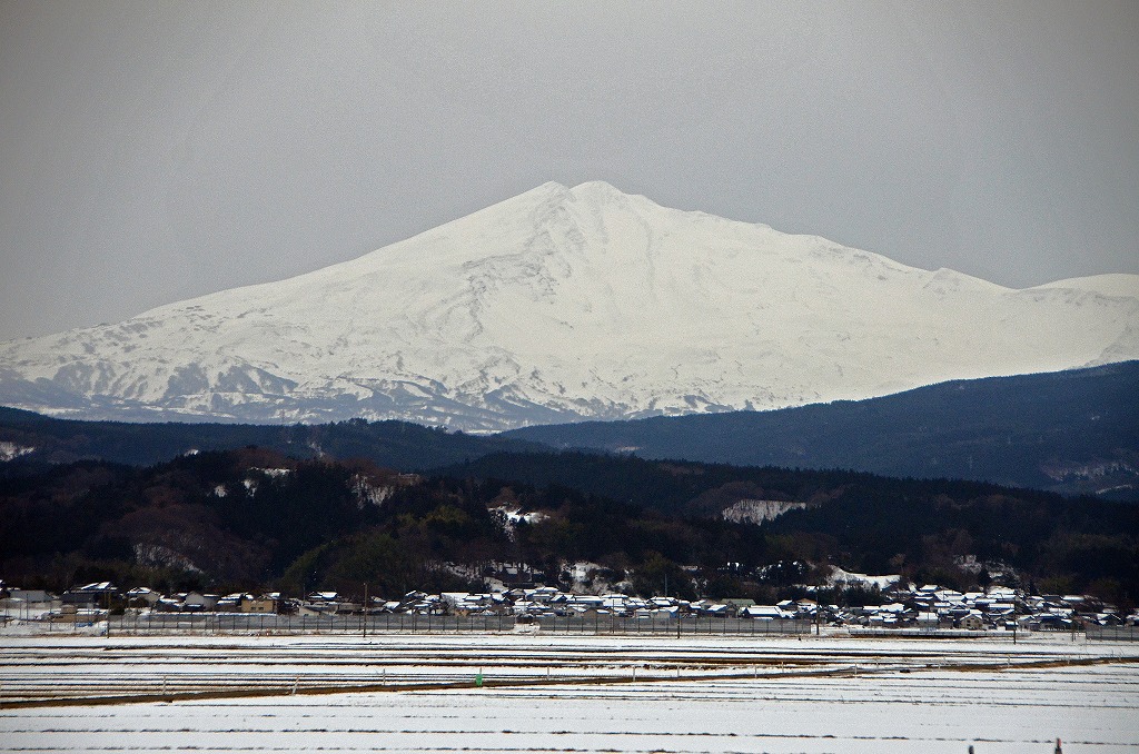 穏やかな一日に・・・・・_f0121379_16492482.jpg