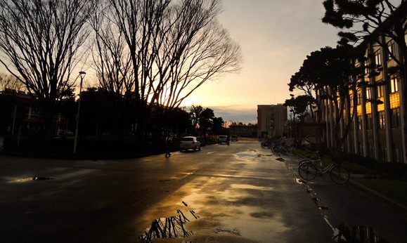 外に出るとすっかり雨もあがり....湖山池の向うにいい感じの夕日が......_b0194185_23374684.jpg