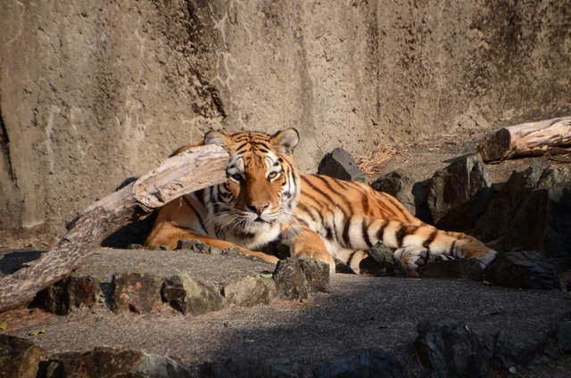 a0052986_16392464.jpg