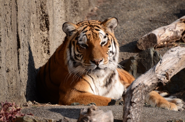 a0052986_1641430.jpg