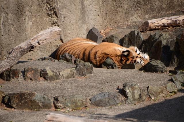 a0052986_16414958.jpg