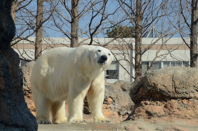 a0052986_21575913.jpg