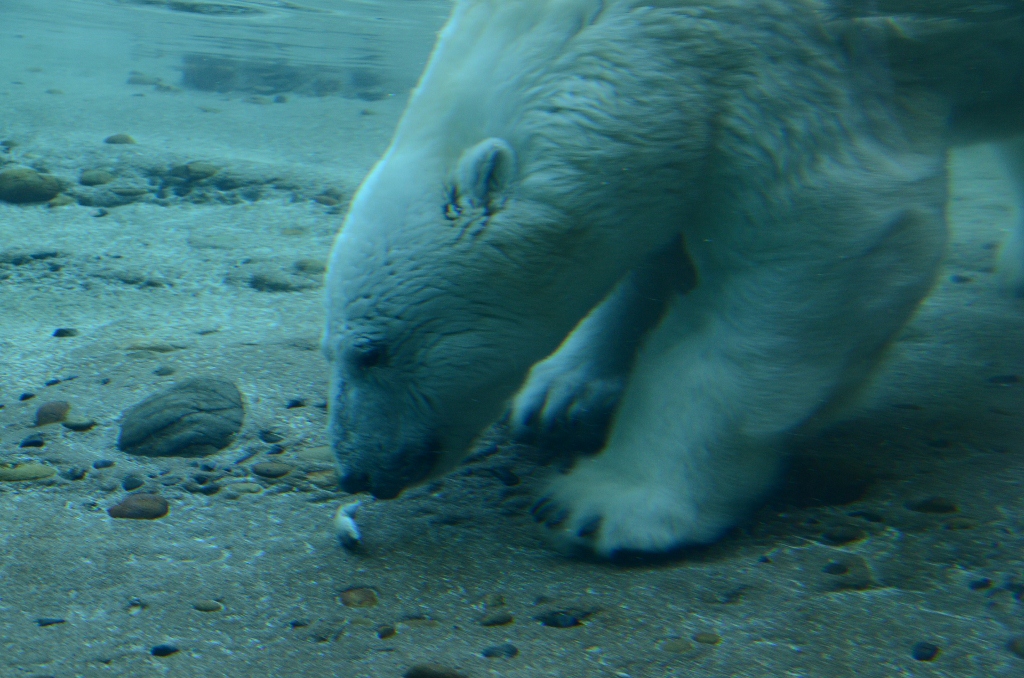 a0052986_2234362.jpg