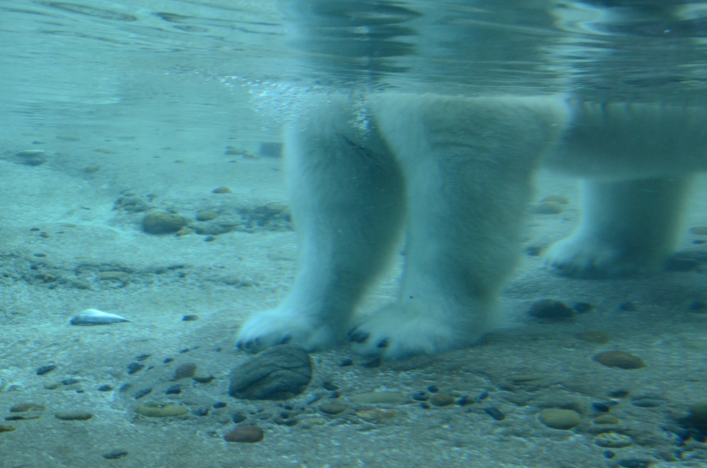 a0052986_224235.jpg