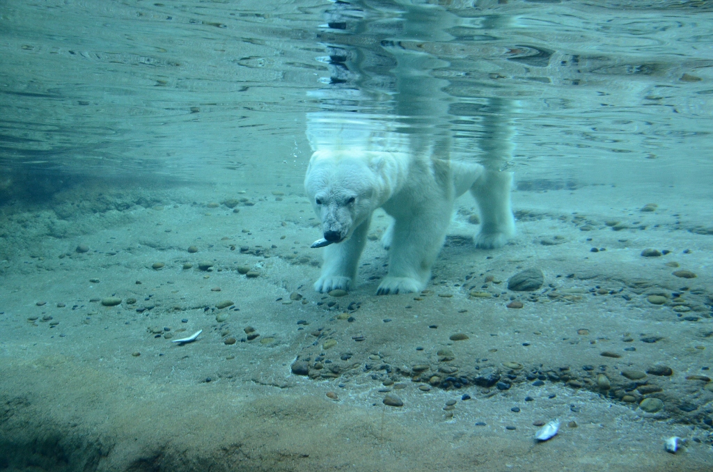 a0052986_225371.jpg