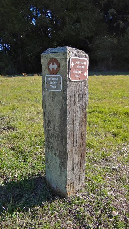 2013/01/21 Palo Alto Trail Trip day2 Heritage Glove _b0220886_20213923.jpg