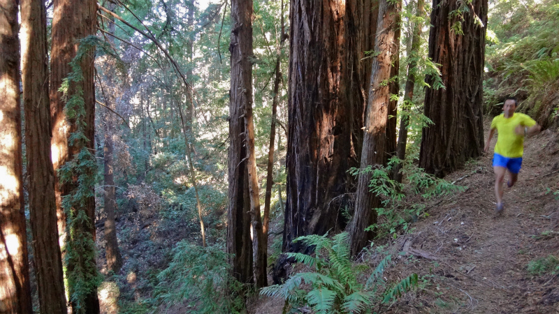 2013/01/21 Palo Alto Trail Trip day2 Heritage Glove _b0220886_20254589.jpg