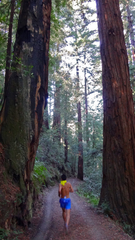 2013/01/21 Palo Alto Trail Trip day2 Heritage Glove _b0220886_20543595.jpg
