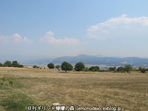 c0010496_2217121.jpg