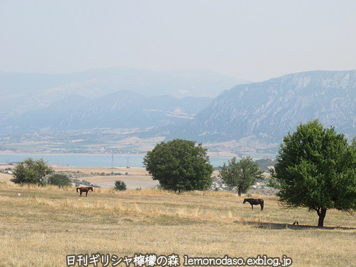 c0010496_221713100.jpg