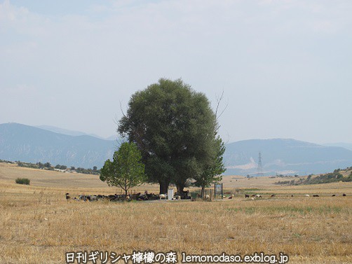 c0010496_22181073.jpg