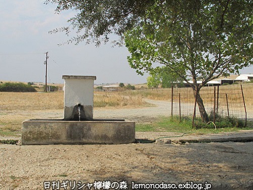 c0010496_22183697.jpg