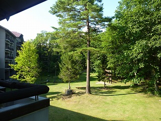 c0077697_1412233.jpg
