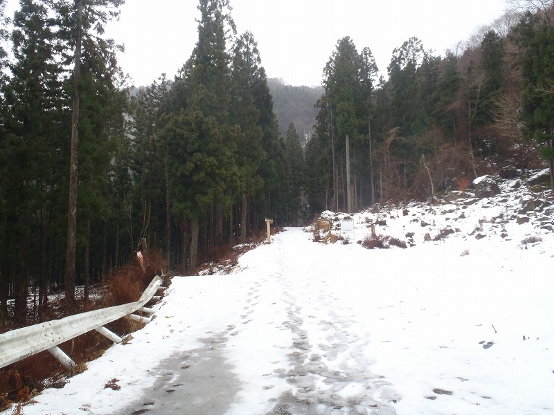 c0147398_1584844.jpg